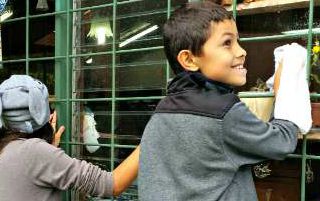 Community Service Day – The Spirit of Volunteering