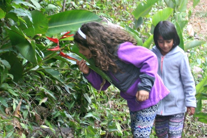 smelling flowers in the "outdoor classroom" at Monteverde Friends School