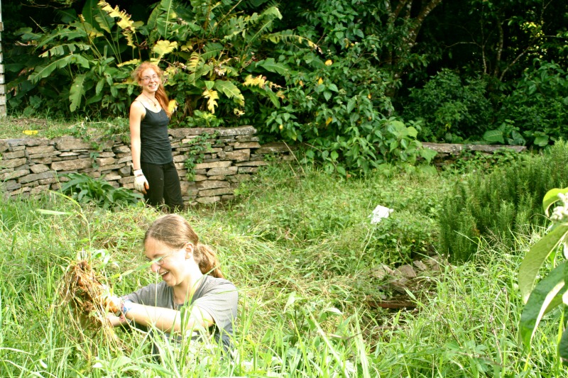 GardenVolunteers
