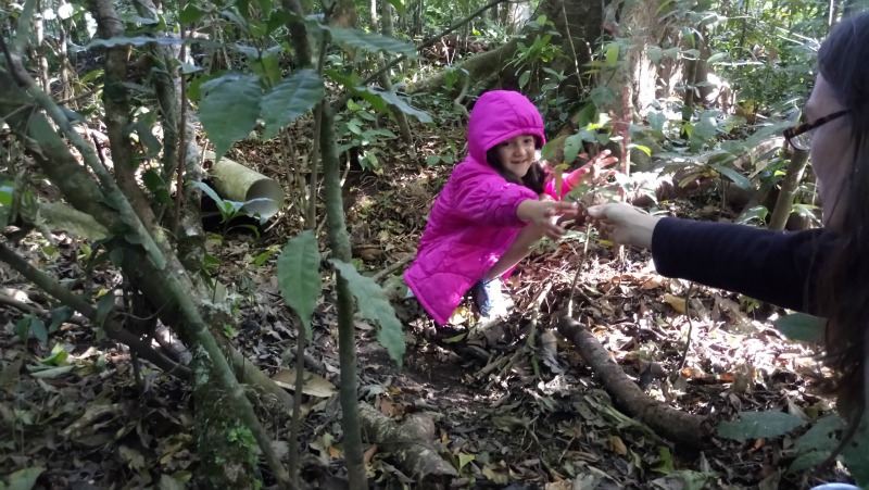 Do Quakers Believe in Fairies?