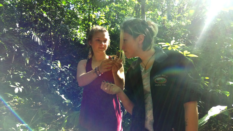 Study Abroad and Gap Year students in Monteverde discover wild Ginger.